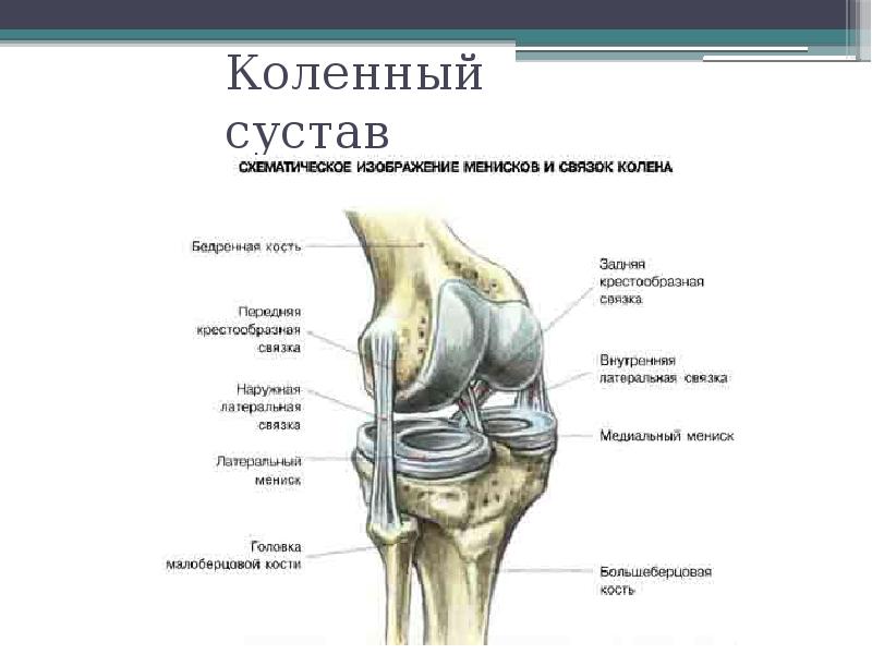 Артроскопия плечевого сустава презентация