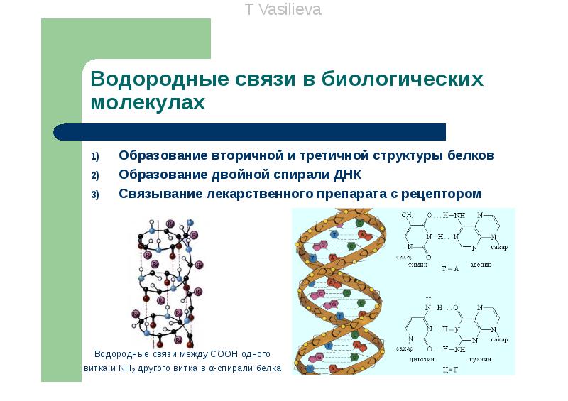 Роль водородных связей в природе схема конспект