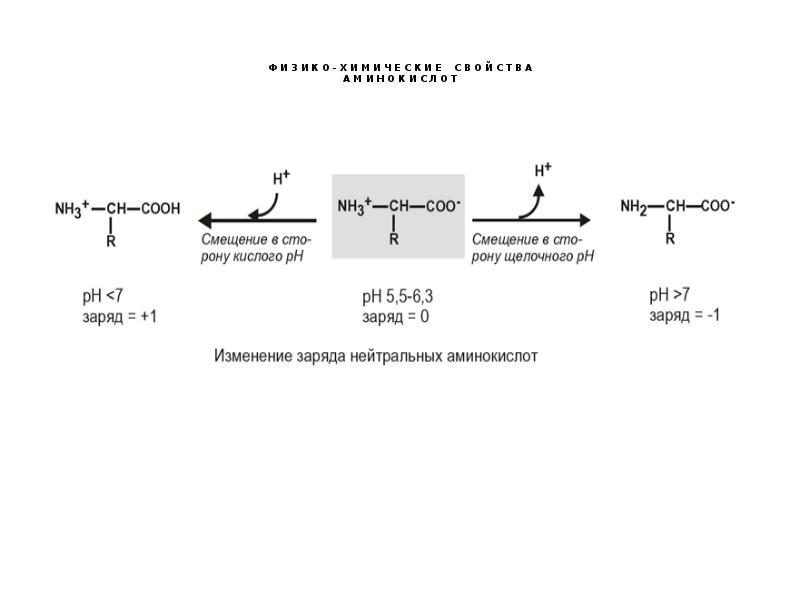 Нейтральный заряд имеет. Изменение зарядов нейтральных аминокислот. Смещение СТО. График изменения зарядов аминокислот.