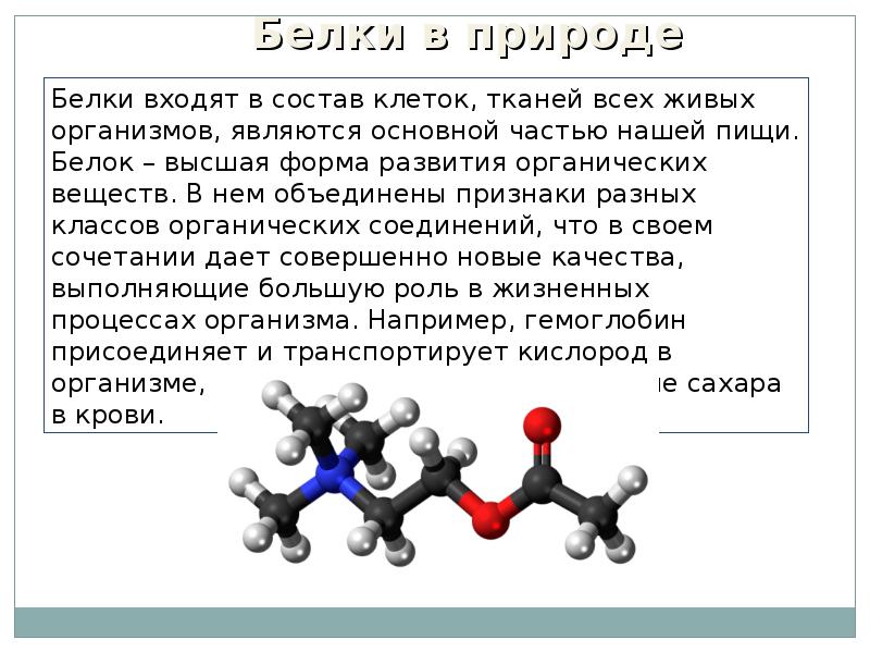 Белки кислоты