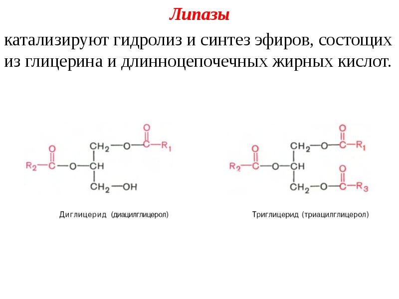 Гидролиз жира схема