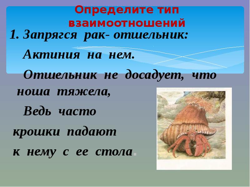 монах это в истории. значение слова отшельник. что такое отшельник история. книги старого отшельника. монах подвижник.