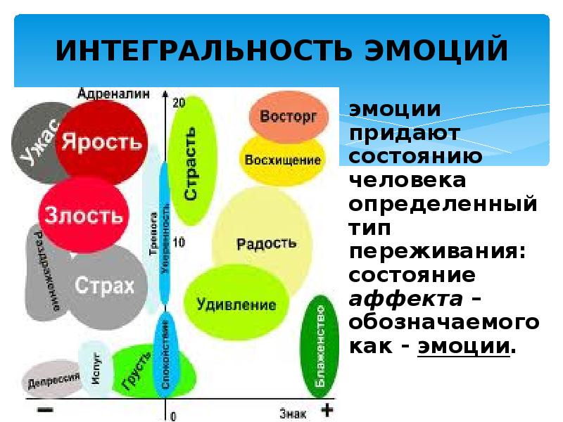 Эмоции человека физиология презентация