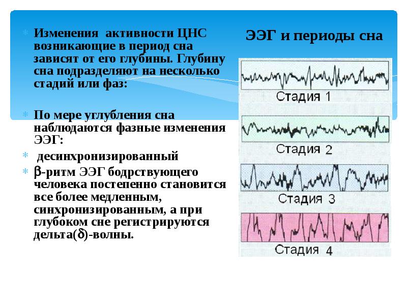 Фаза сна текст. Физиологические механизмы сна. Фаза сна. Теории сна.. Структура (фазы) физиологического сна. Переходные фазы сна. Фазы и стадии сна физиология.