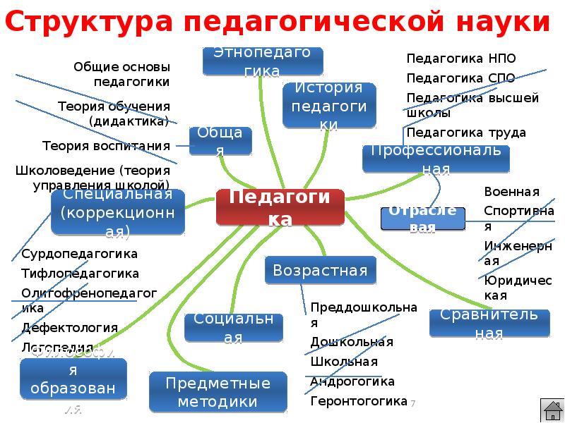 Отрасли педагогической науки