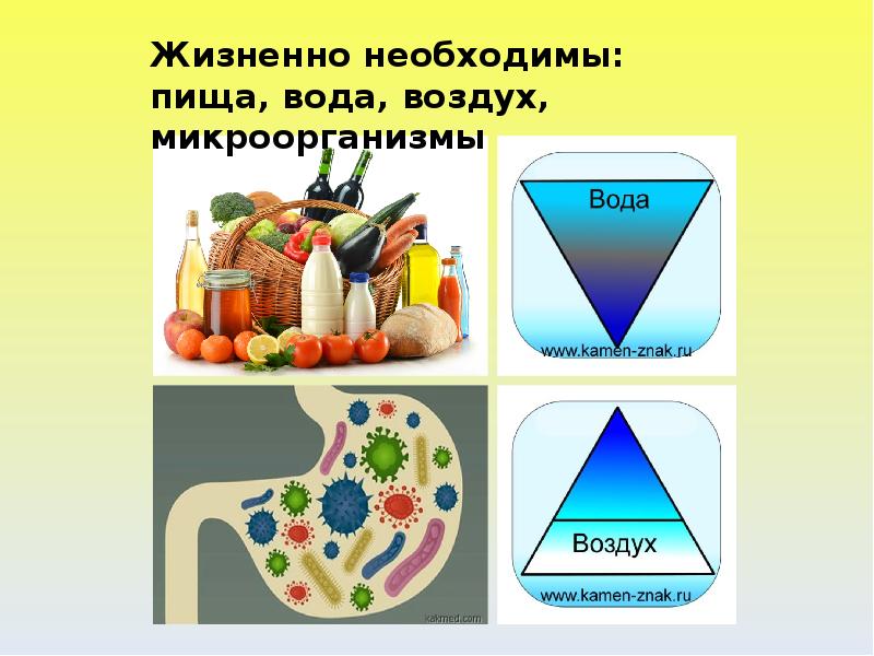 Жизненно необходимыми продуктами