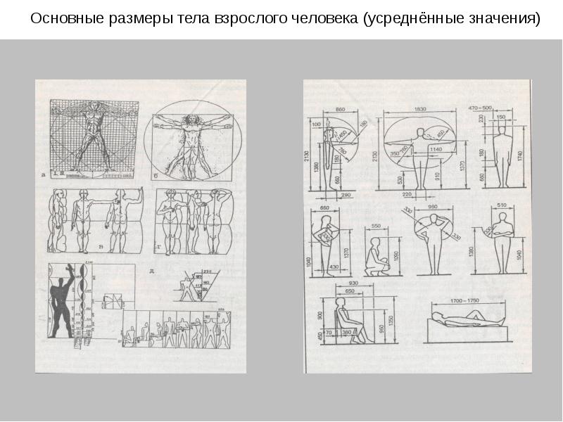 Эргономика прихожей схема с размерами - 83 фото