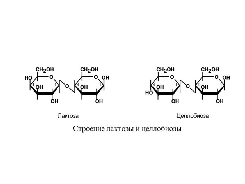 Целлобиоза формула