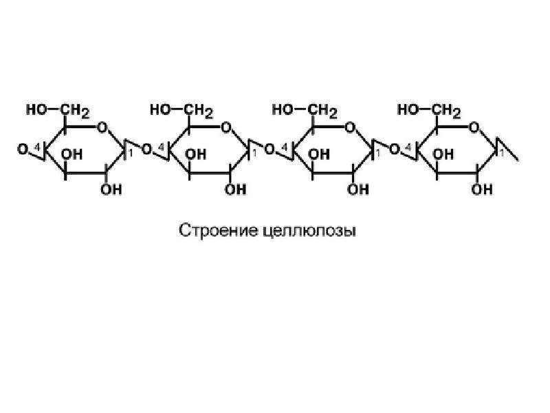 Строение целлюлозы. Строение целлюлозы химия. Строение макромолекулы целлюлозы. Целлюлоза строение. Строение целлюлозы формула.