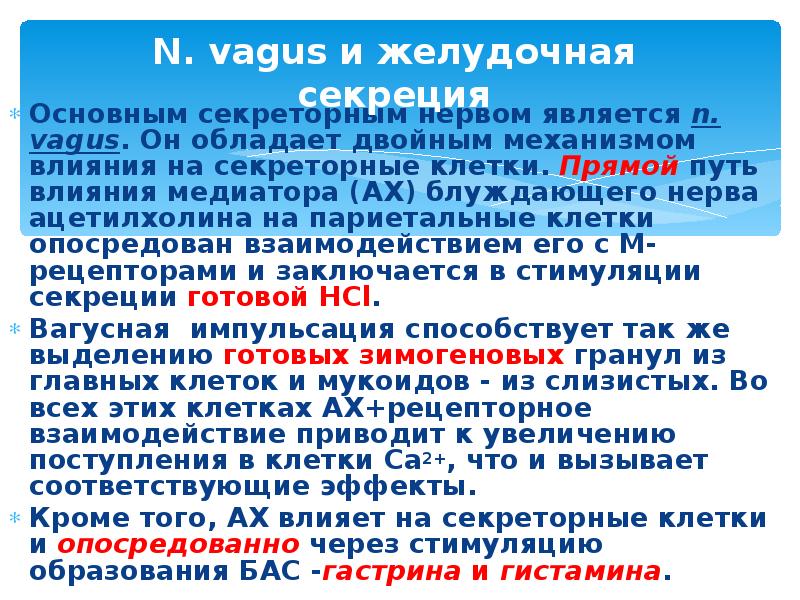 N. vagus и желудочная секреция Основным секреторным нервом является n. vagus.