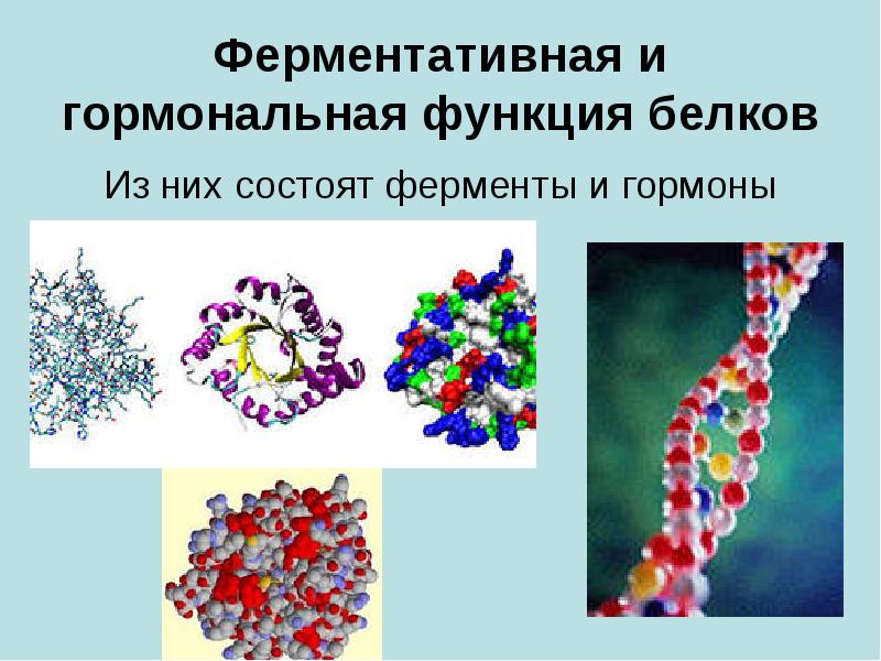 Ферменты и гормоны картинки