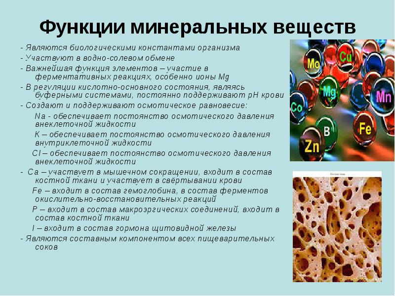 Функции минеральных веществ - Являются биологическими константами организма - Участвуют в