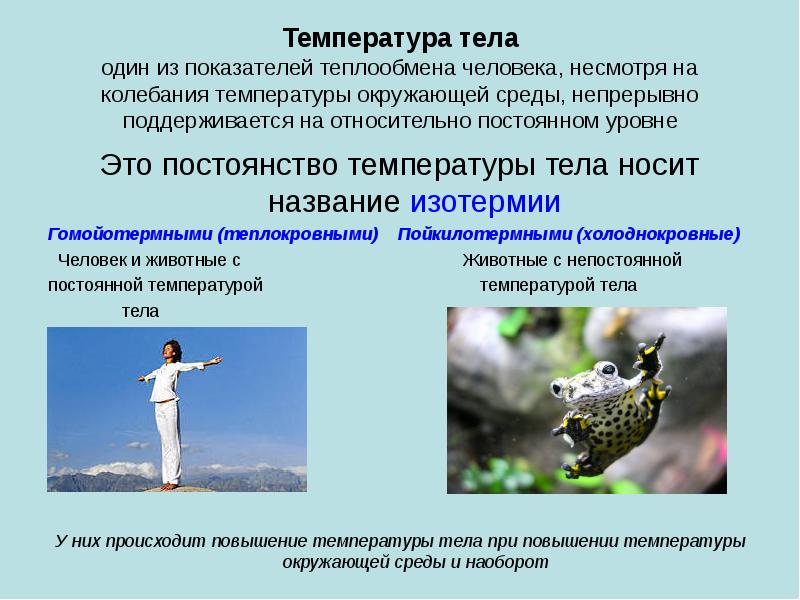 Температура тела один из показателей теплообмена человека, несмотря на колебания температуры
