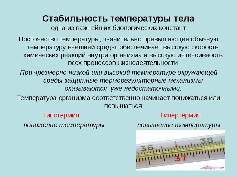 Стабильность температуры тела одна из важнейших биологических констант Постоянство температуры, значительно