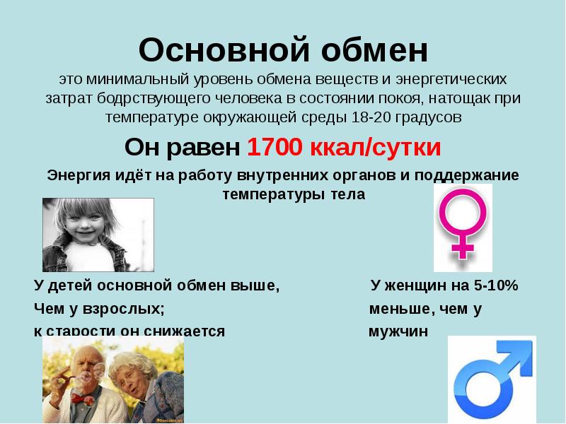Основной обмен это минимальный уровень обмена веществ и энергетических затрат бодрствующего