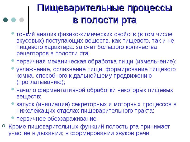 Пищеварение в ротовой полости