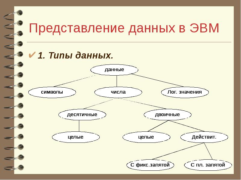 Представление данного. Представление информации в ЭВМ. Представление информации в ЭВМ типы информации. Представление данных. Типы данных ЭВМ.