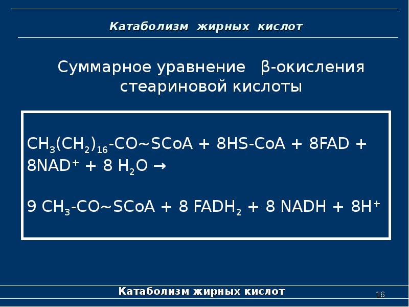 Уравнение синтеза. Окисление стеариновой кислоты. Суммарное уравнение синтеза жирных кислот. Суммарное уравнение биосинтеза стеариновой кислоты. Уравнение синтеза стеариновой кислоты.