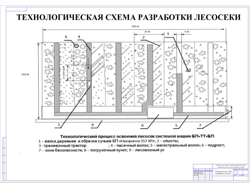 Технологическая карта на проведение рубок ухода