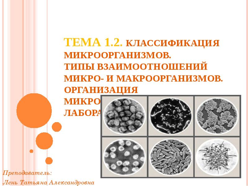 Классификация микроорганизмов микробиология презентация