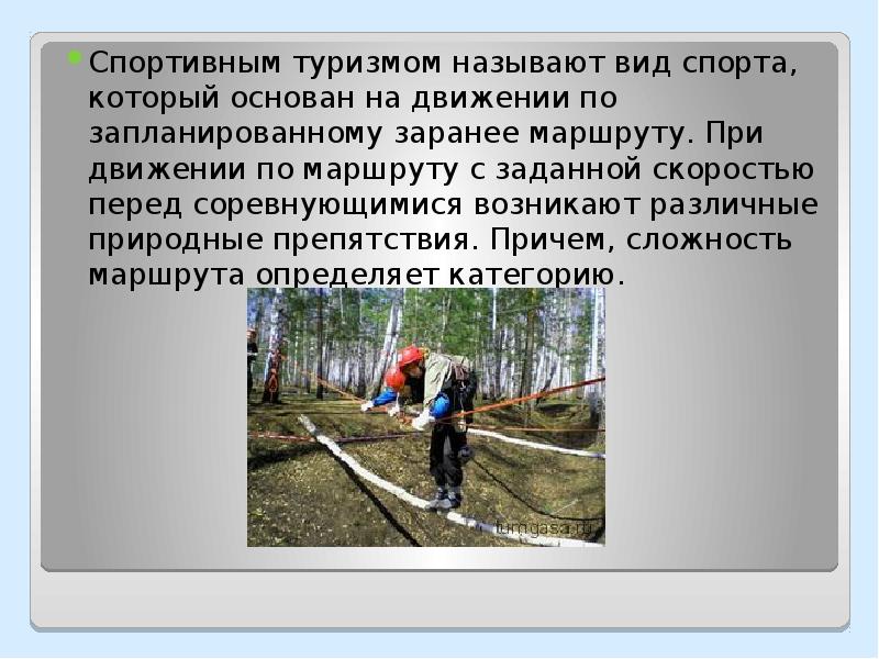 Расскажи о профессиях связанных с путешествием и туризмом по плану