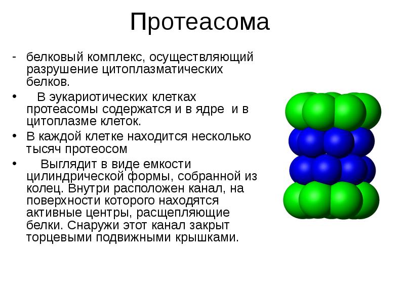 Комплекс белка