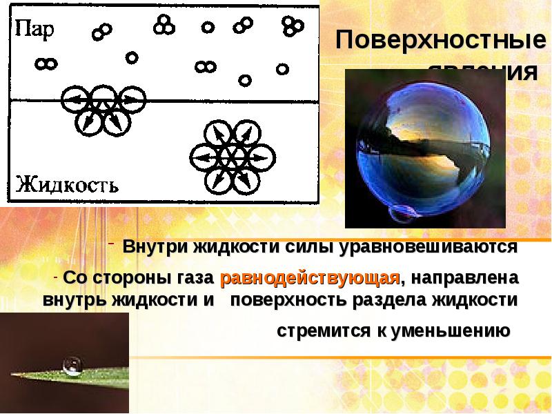 Поверхностные явления презентация