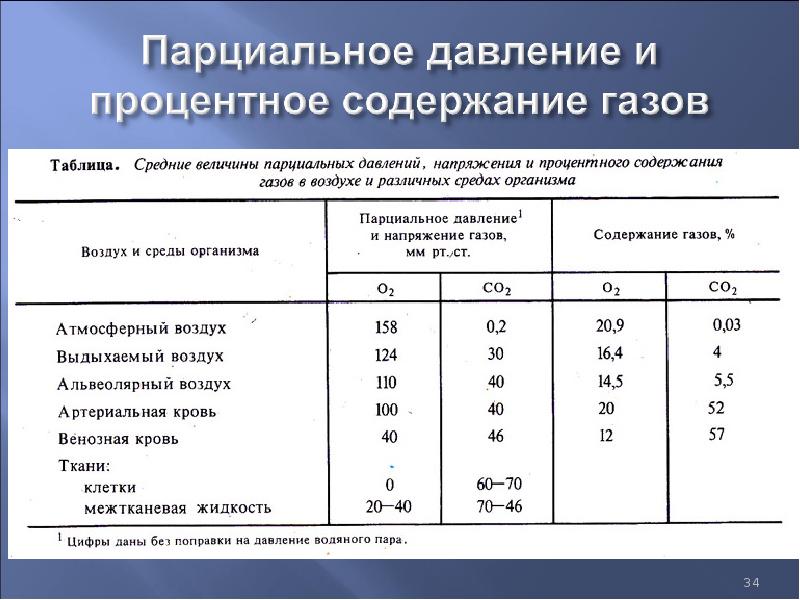 Физиология дыхания презентация