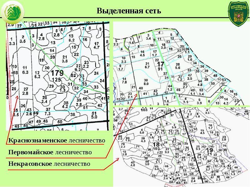 Карта лесничеств калининградской области