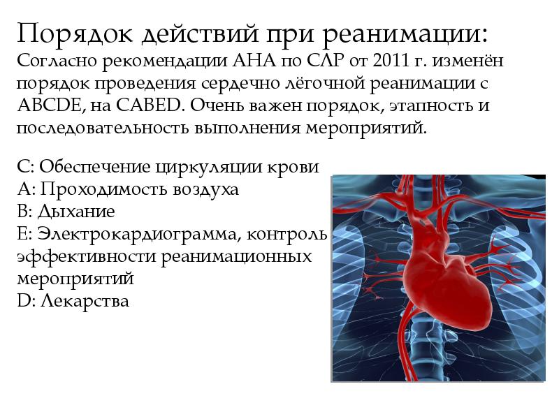 Презентация по сердечно легочной реанимации