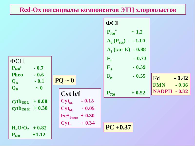 Red-Ox потенциалы компонентов ЭТЦ хлоропластов
ФСII
P680* Red-Ox потенциалы компонентов ЭТЦ хлоропластов
ФСII
P680*