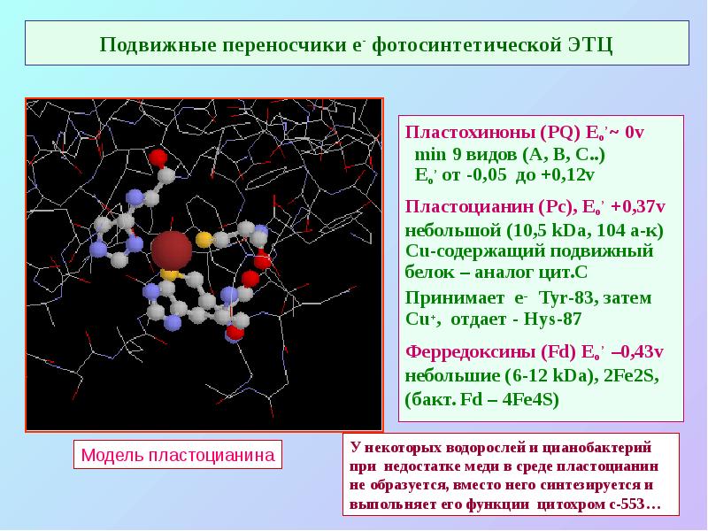 Подвижные переносчики е- фотосинтетической ЭТЦ
Пластохиноны (PQ) Eo’ ~ 0v
Подвижные переносчики е- фотосинтетической ЭТЦ
Пластохиноны (PQ) Eo’ ~ 0v