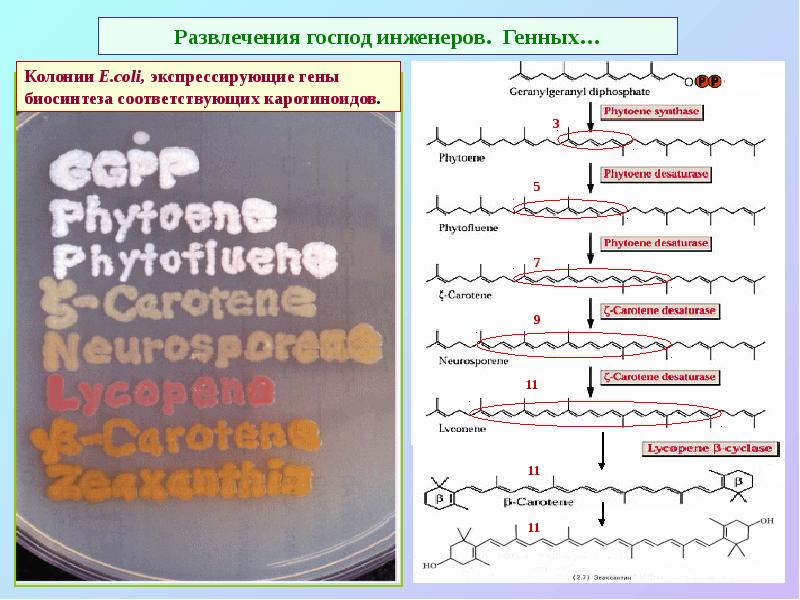 Развлечения господ инженеров. Генных… Развлечения господ инженеров. Генных…
