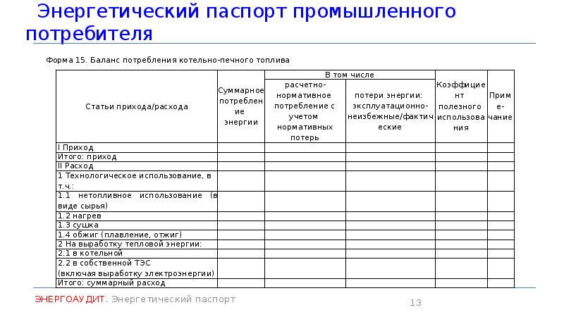 Образец энергопаспорта предприятия