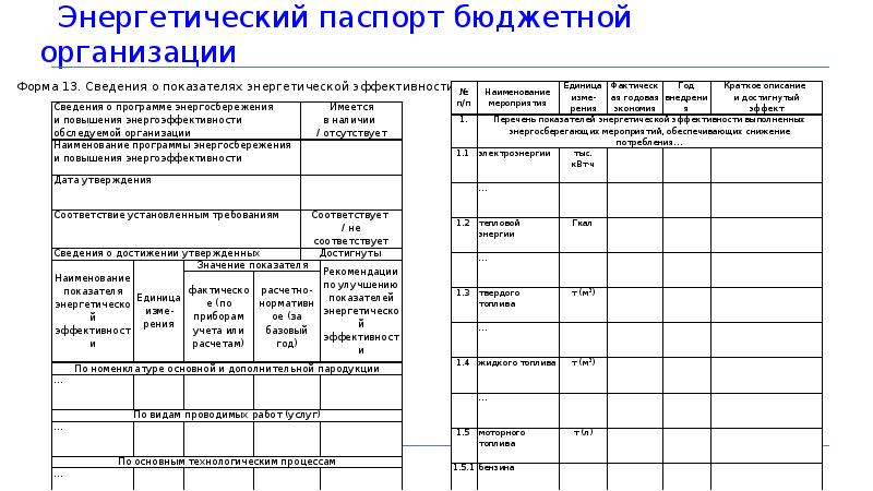 Образец энергопаспорта предприятия