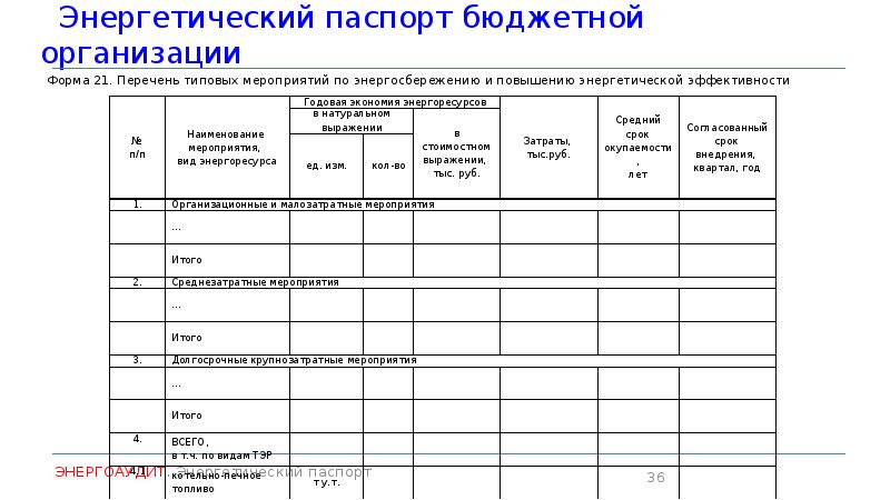 Образец энергопаспорта предприятия