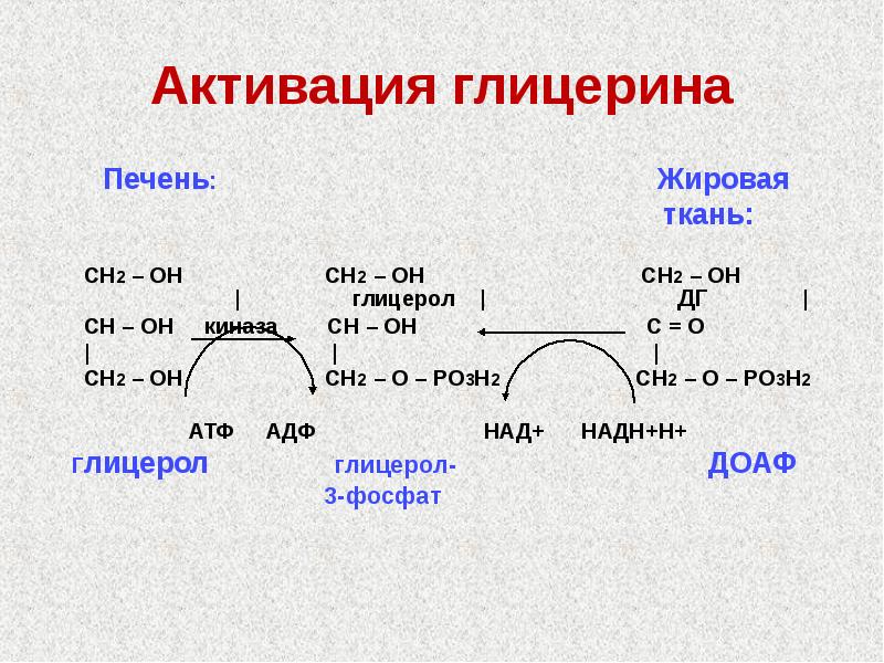 Анализ глицерина