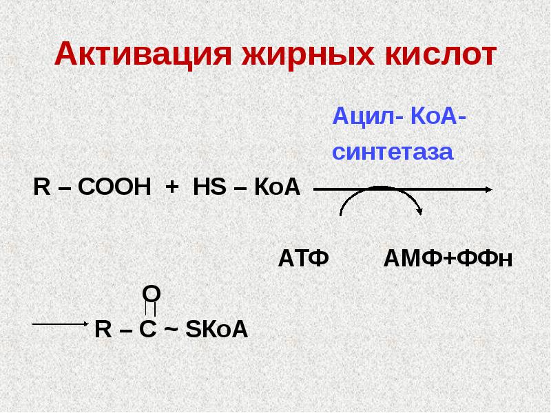 Пути образования и использования ацетил коа. Пути образования и использования ацетил коа