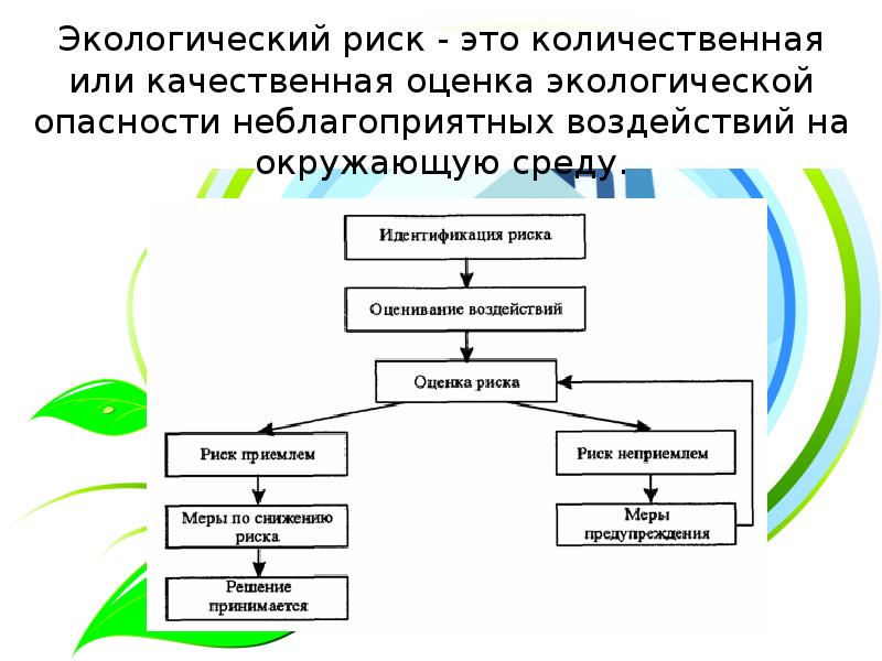 Риски экологического проекта пример