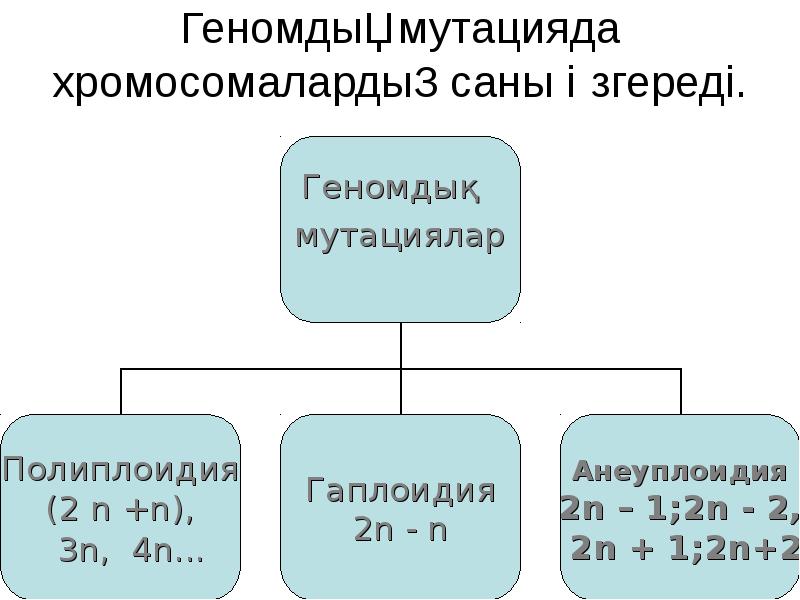 Геномдық мутацияда хромосомалардың саны өзгереді.