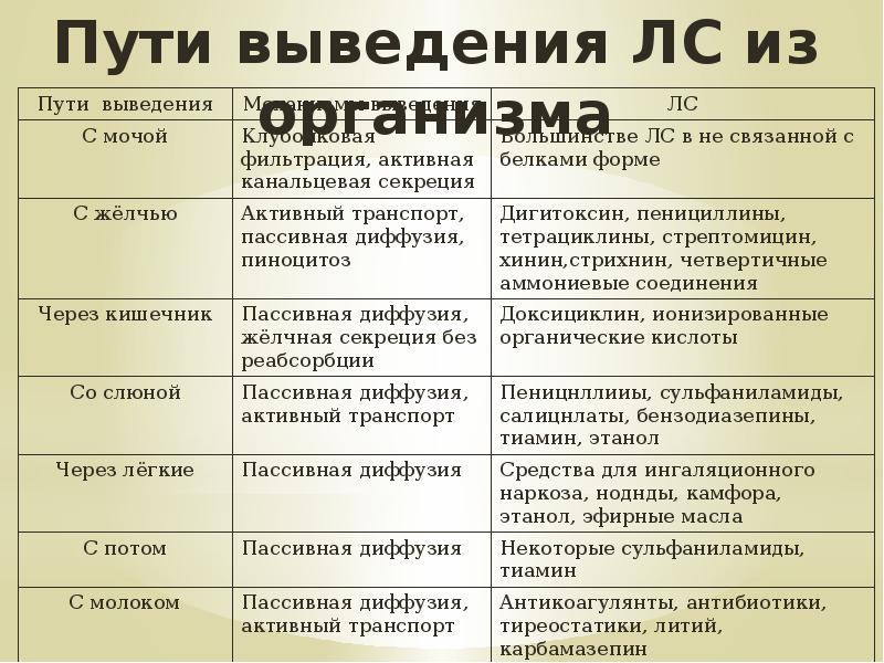 Путь вывод. Пути выведения лекарственных средств. Пути выведения лекарственных веществ из организма. Основные пути выведения лв из организма. Пути выведения лекарственных средств из организма фармакология.