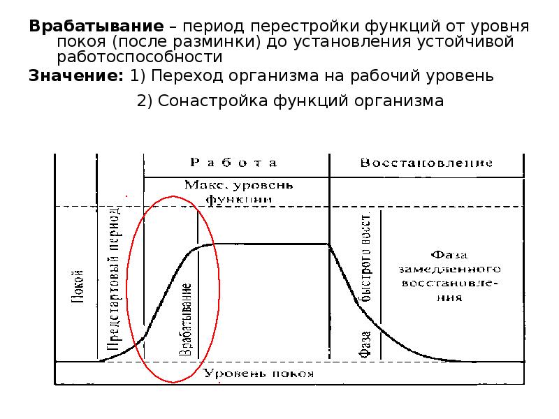 Устойчивое период. Физиологическая характеристика врабатывания. Периоды работоспособности. Физиологические механизмы врабатывания. Период врабатывания.