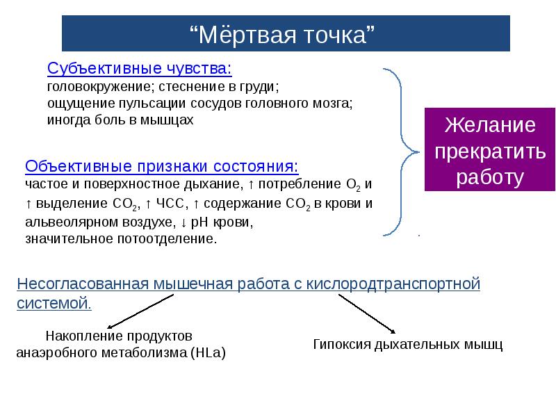 Физиологическая характеристика состояний организма при спортивной деятельности презентация