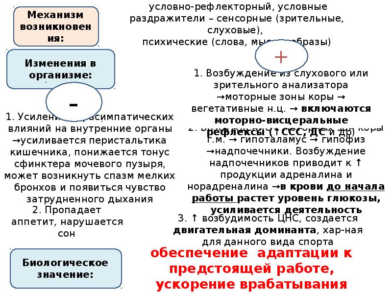 Физиологическая характеристика состояний организма при спортивной деятельности презентация