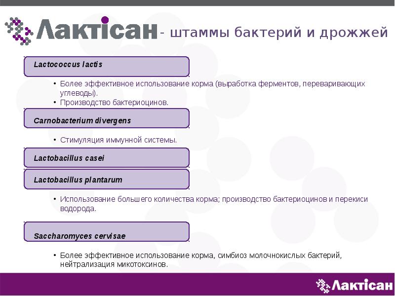 Производство пробиотиков презентация