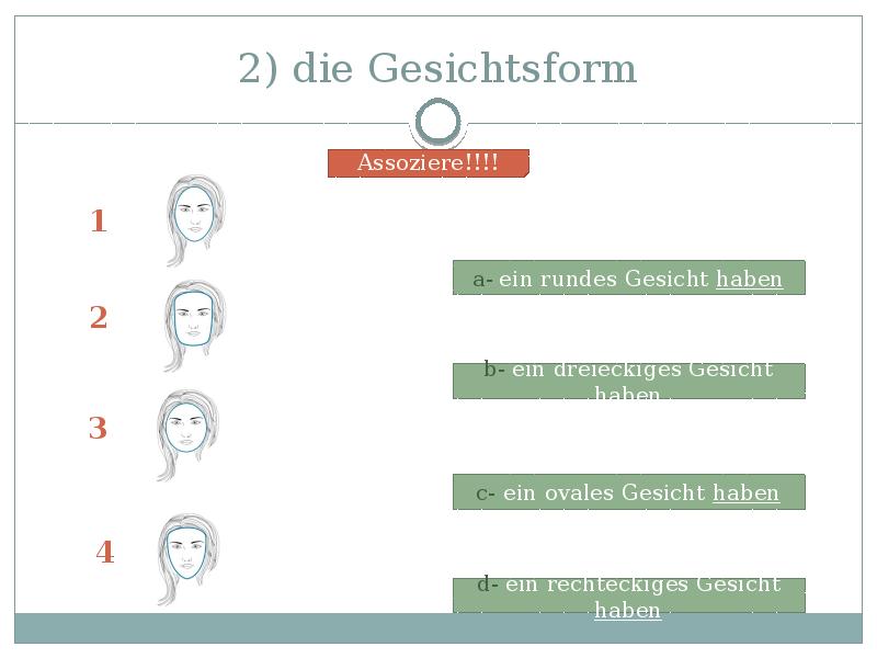 2) die Gesichtsform 2) die Gesichtsform