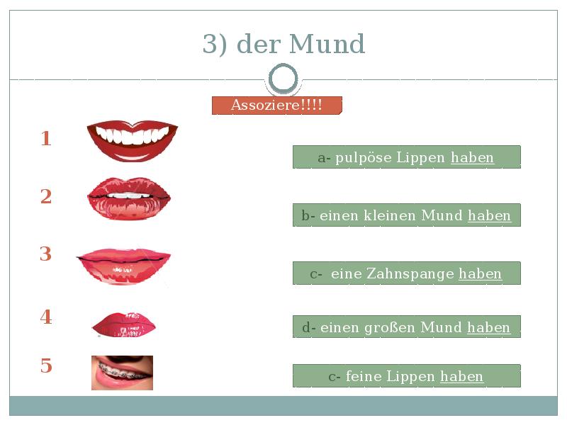 3) der Mund 3) der Mund