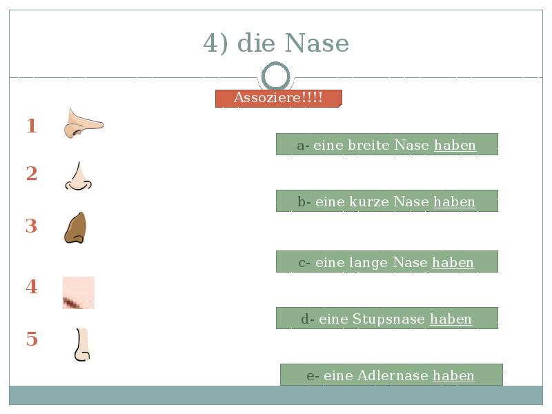 4) die Nase 4) die Nase