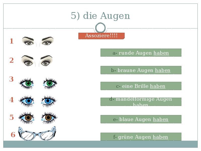 5) die Augen 5) die Augen