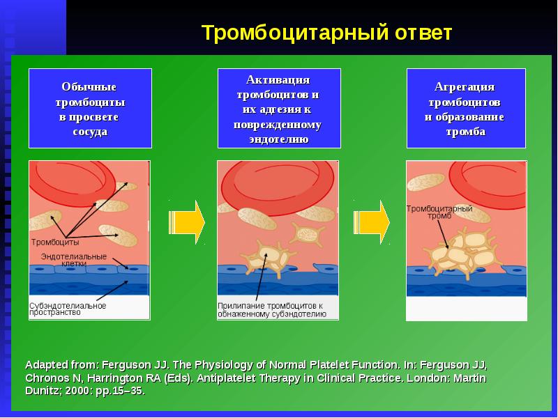 Тактика обыска и выемки презентация